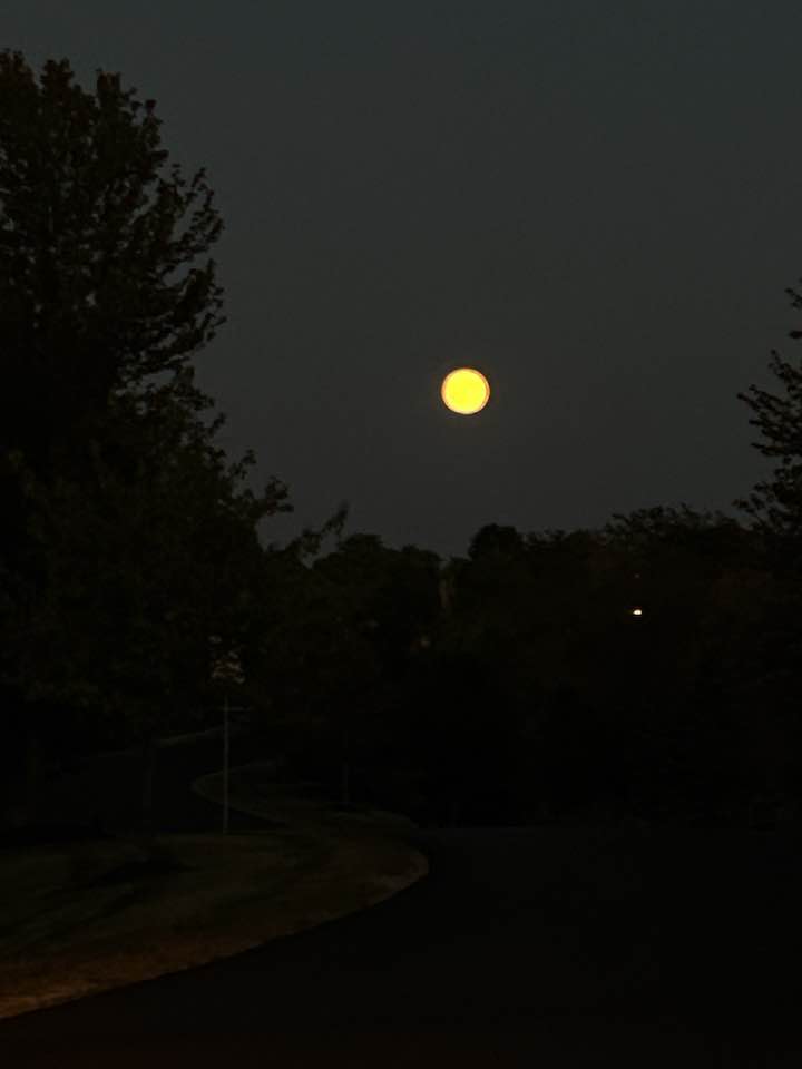 The moon.  